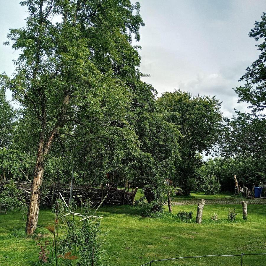 Ferienwohnung-Im-Karolinenkoog-Erholung-Zwischen-Feld-Und-Deich Екстериор снимка