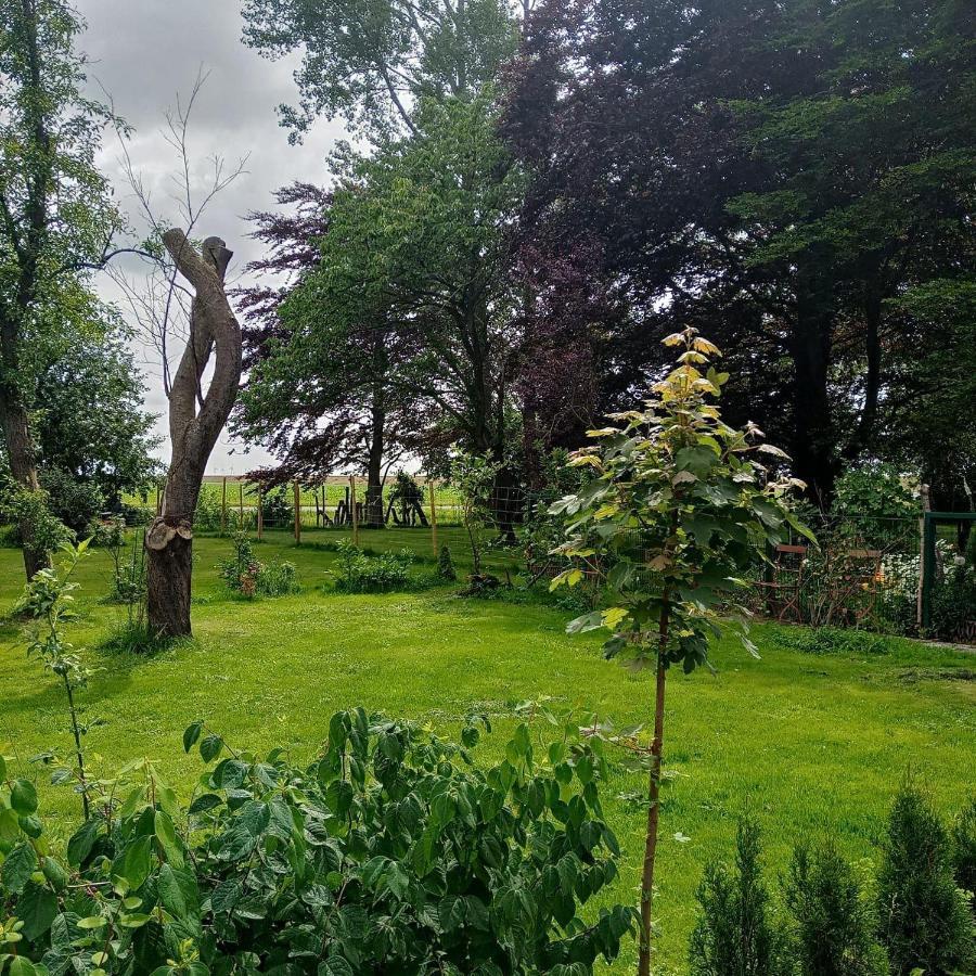 Ferienwohnung-Im-Karolinenkoog-Erholung-Zwischen-Feld-Und-Deich Екстериор снимка